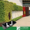 hanging planter for vertical garden plant wall